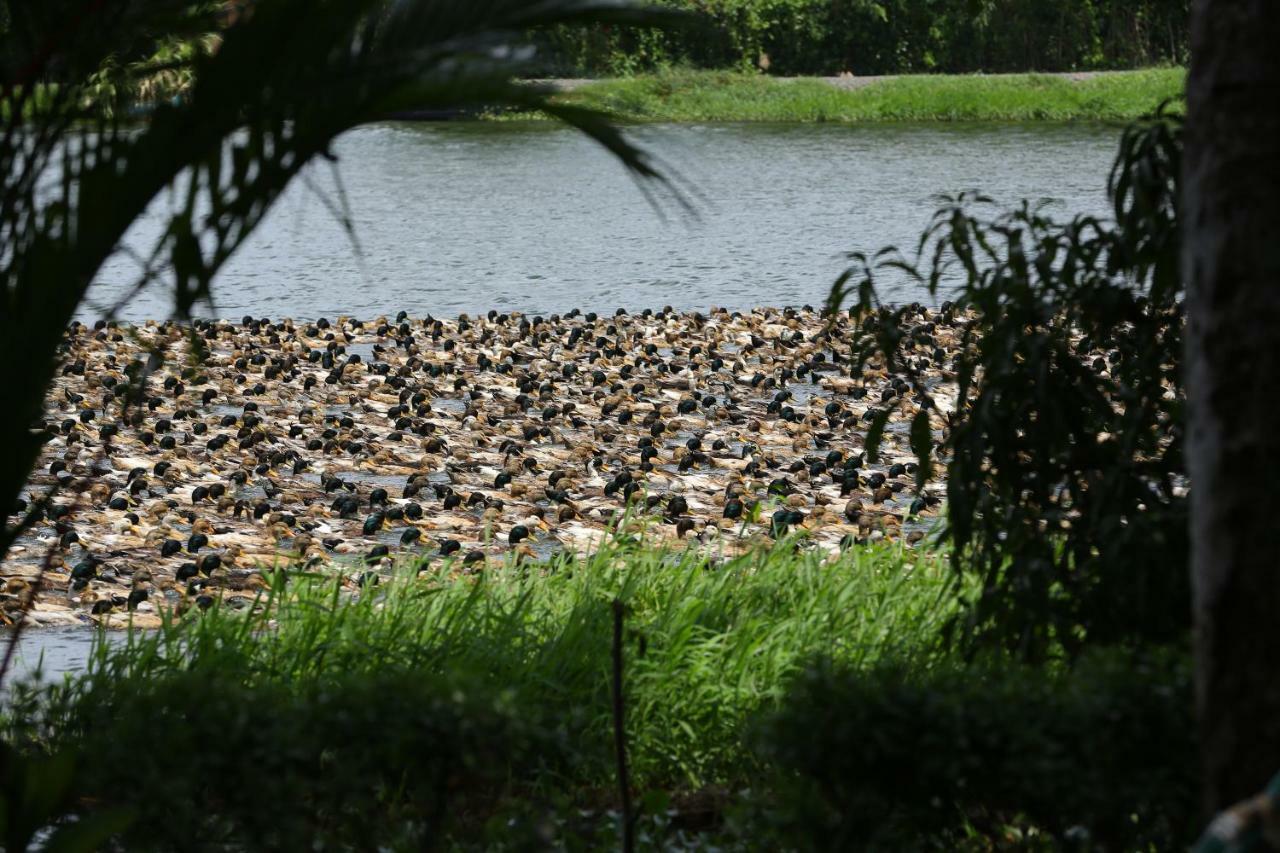 Green Palace Ayurveda Resort, Alleppey Alappuzha Ngoại thất bức ảnh